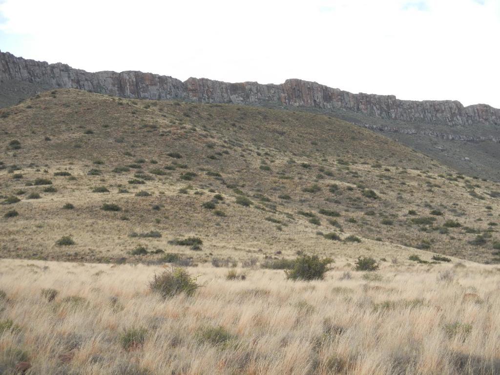 Lemoenfontein ξενώνας Beaufort West Εξωτερικό φωτογραφία