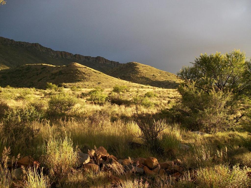 Lemoenfontein ξενώνας Beaufort West Εξωτερικό φωτογραφία
